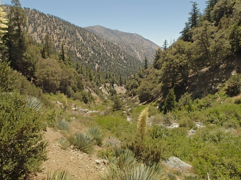 2014 Mt Baldy Cali 208.JPG - Summit Mt San Antonio (Mt Baldy) California